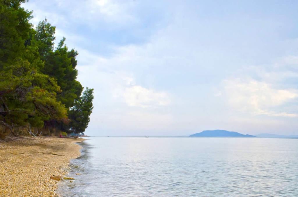 Elia Apartments Sithonia Buitenkant foto